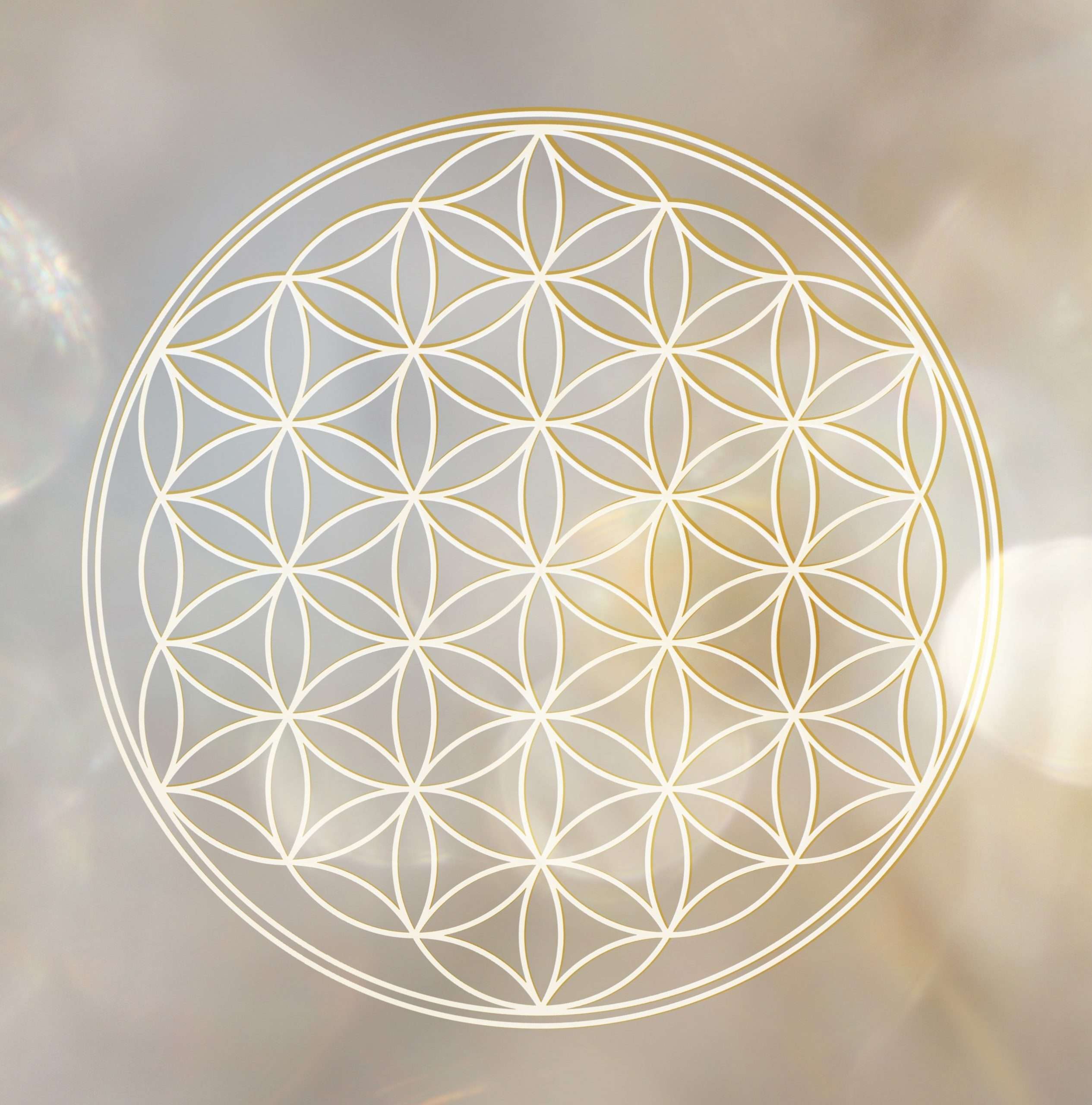 flower of life gold kleine afb