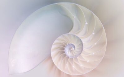Spirituele intelligentie, waarom zoeken en leren je niet helpen